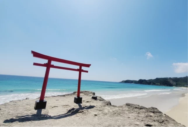 伊古奈比咩命神社(白浜神社)